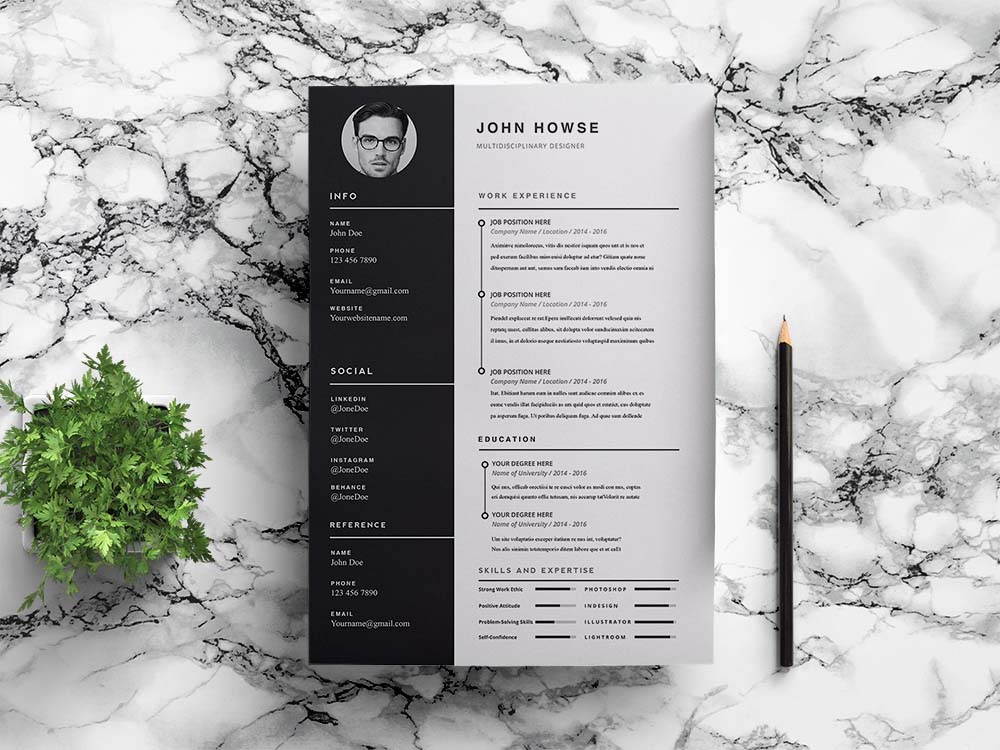 Free Clean CV Template in Indesign Format