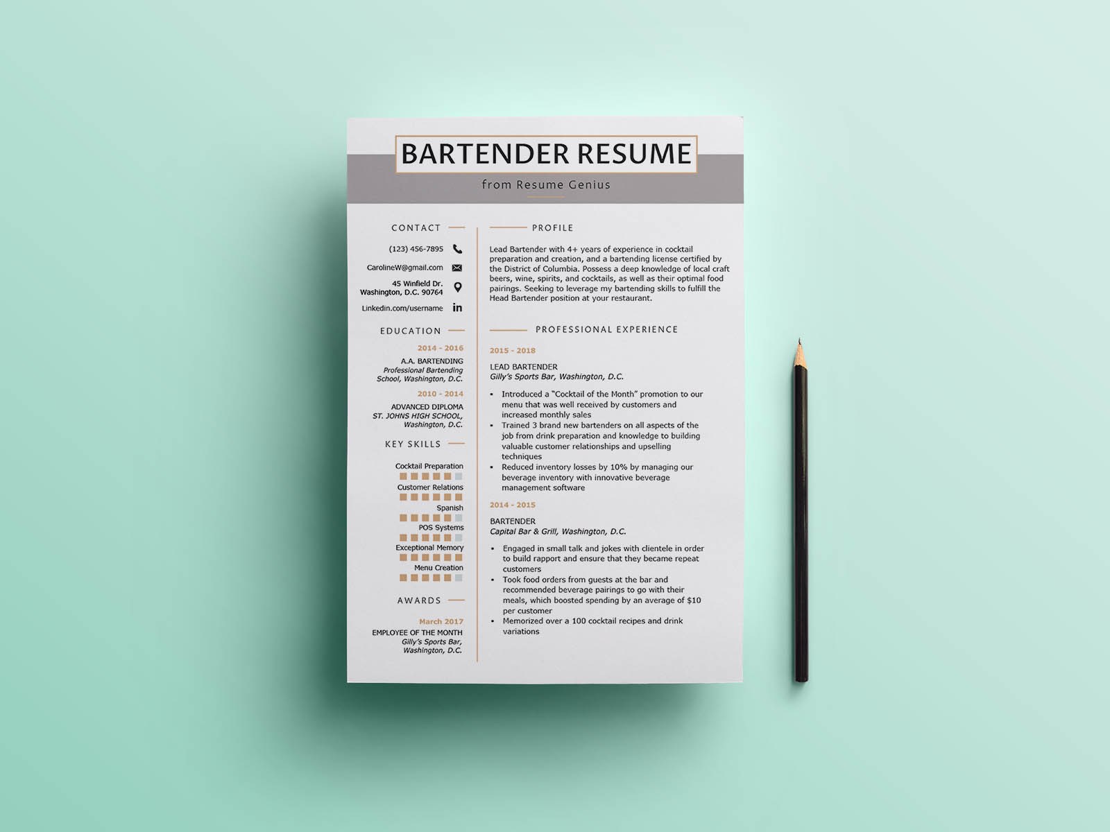 free bartender resume template download