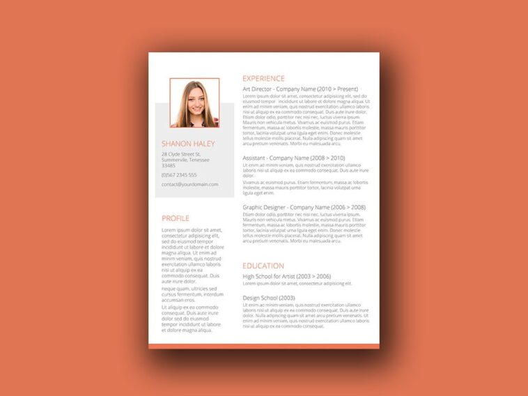 color resume templates free download orange an blue
