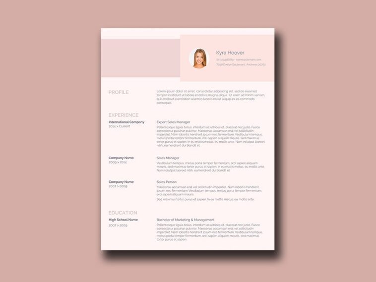Pink Resume - Free Resume Template with Feminine Style - Pivle
