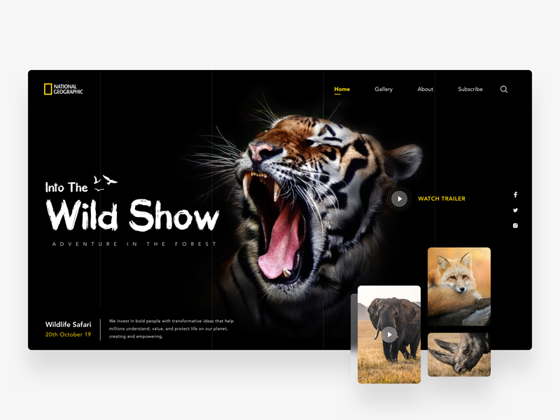 National Geographic Wildlife Website Template Free Download