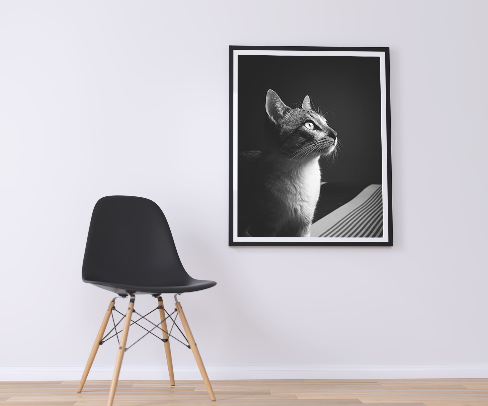 Cat in Shadow Wall Art Poster Design - Free Download