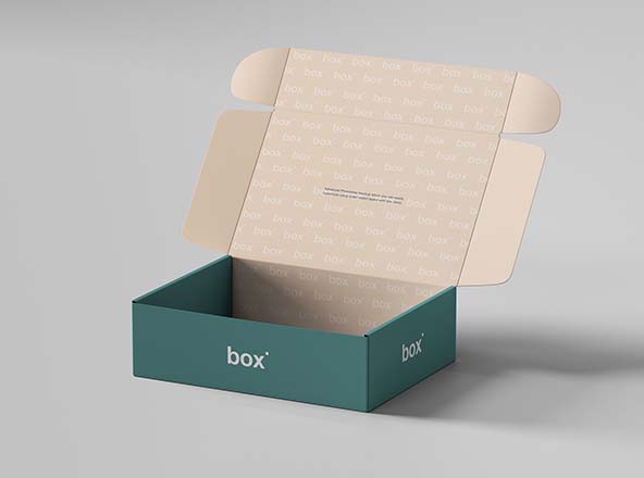 Download Pinch Lock Box Mockup Psd Free Download